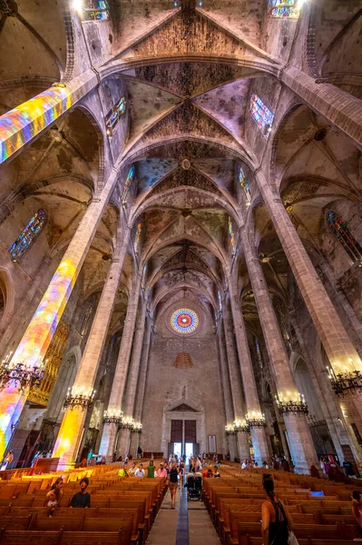 Palma Mallorca Spanje Juli 2023 Geweldige Gotische Kathedraal Van Santa — Stockfoto