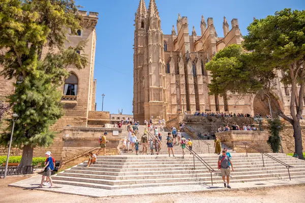 Palma Mallorca Spagna Luglio 2023 Incredibile Cattedrale Gotica Santa Maria — Foto Stock