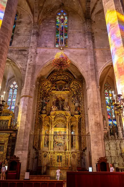 Palma Mallorca Spagna Luglio 2023 Incredibile Cattedrale Gotica Santa Maria Immagini Stock Royalty Free