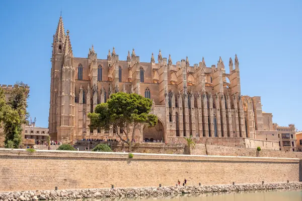 Palma Mallorca España Julio 2023 Increíble Catedral Gótica Santa María Imagen De Stock