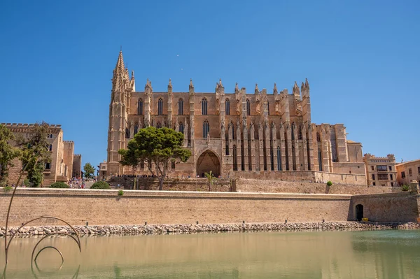 Palma Mallorca España Julio 2023 Increíble Catedral Gótica Santa María Imágenes De Stock Sin Royalties Gratis