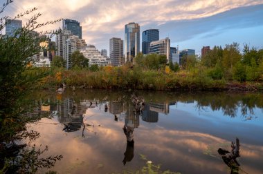 Calgary, Alberta - 17 Eylül 2023 Calgary 'nin ufuk çizgisi bir sonbahar sabahı.