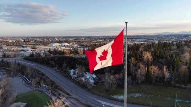 カナダの国旗が風に吹き飛ばされるのをズームアウト — ストック動画
