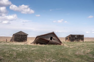 Alberta kırsalında terk edilmiş çiftlik binaları..