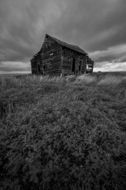 Mossleigh yakınlarındaki terk edilmiş postane, Alberta..