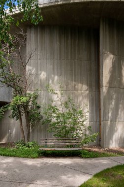 Calgary, Alberta - June 20, 2024: University of Calgary Craigie Hall building on UofC campus. clipart