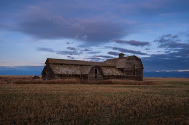 Alberta kırsalında terk edilmiş çiftlik binaları..