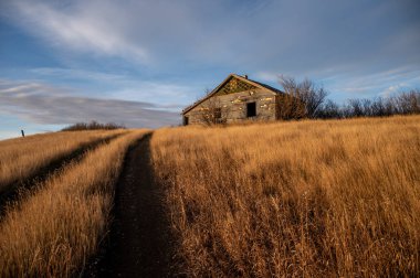 Alberta kırsalında terk edilmiş bir çiftlik evi..