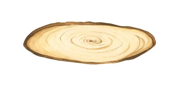 Holzscheibenillustration Holzschild Baumstammquerschnitt Handbemaltes Holzbrett Baumringe Rustikales Natürliches Öko Design — Stockvektor