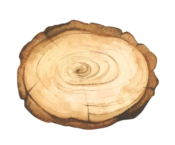 Potongan Kayu Ilustrasi Papan Nama Wooden Pohon Batang Melintang Bagian - Stok Vektor
