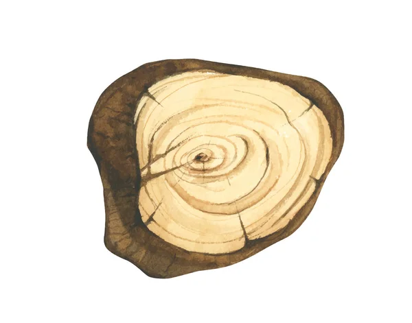 Ilustração Fatia Madeira Placa Madeira Secção Transversal Tronco Árvore Placa — Vetor de Stock