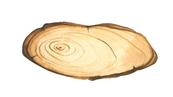 Holzscheibenillustration Holzschild Baumstammquerschnitt Handbemaltes Holzbrett Baumringe Rustikales Natürliches Öko Design — Stockvektor