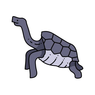 galapagos dev kaplumbağa el çizimi renk vektörü çizimi