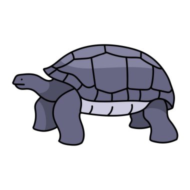 galapagos dev kaplumbağa el çizimi renk vektörü çizimi