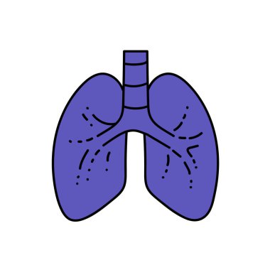 sağlıklı insan akciğerleri el çizimi renk vektörü çizimi
