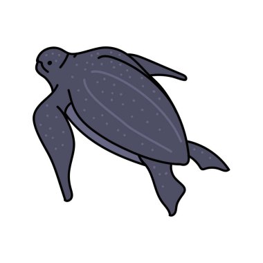 Leatherback deniz kaplumbağası el çizimi renk vektörü çizimi