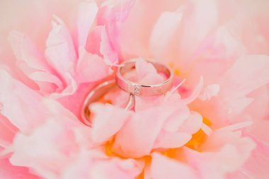 Gelin buketi nikahı damat. Yüksek kalite fotoğraf