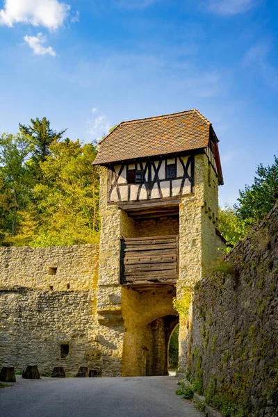 Winery Burg Hornberg am Neckar