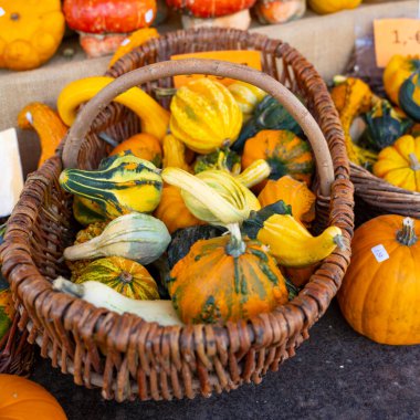 Balkabağı Ticareti ile Sonbahar Satışlarını Arttır