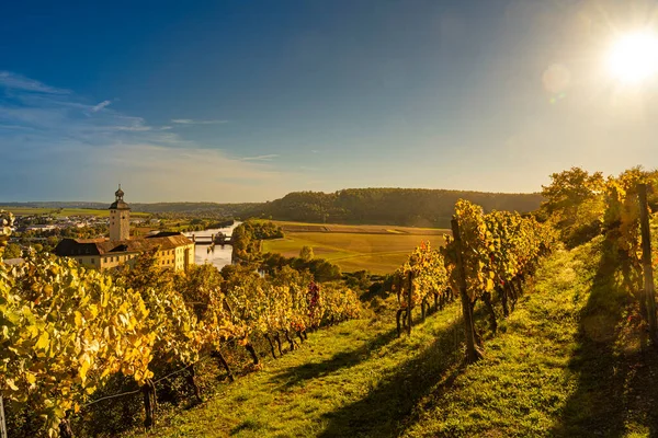 下Neckar山谷的葡萄酒经验 — 图库照片