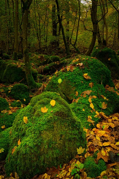 Moss Covered Rock Blocks Odenwald — Stock Photo, Image