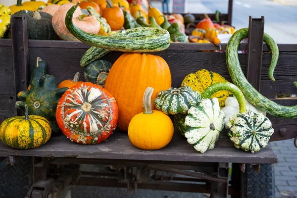 Boost Fall Sales with Pumpkin Merchandising