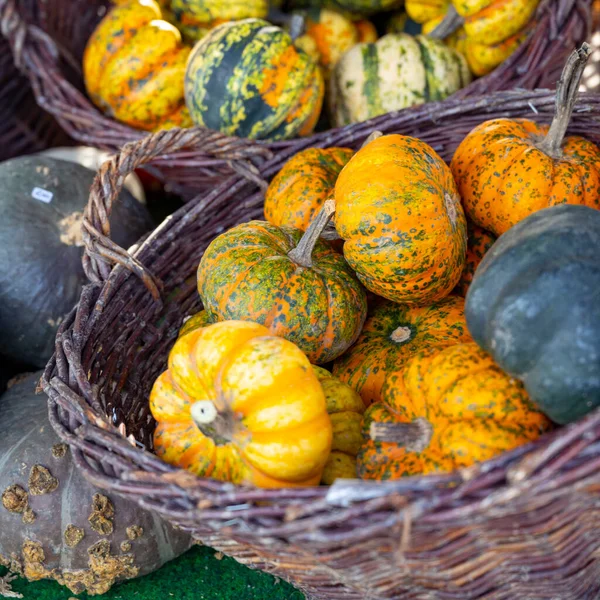 Boost Fall Sales Pumpkin Merchandising — Stock Photo, Image