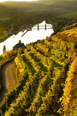 Aşağı Neckar Vadisi 'nde şarap deneyimi