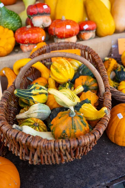 Boost Fall Sales Pumpkin Merchandising — Stock Photo, Image