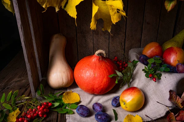 Vários Frutos Uma Caixa Madeira Com Folhas Outono Fotos De Bancos De Imagens