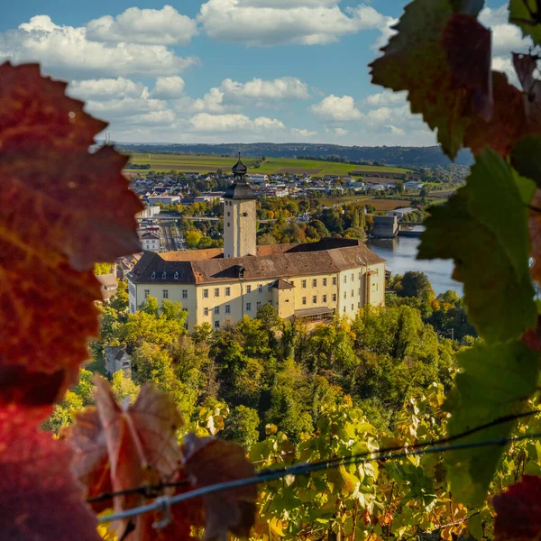 下Neckar山谷的葡萄酒经验 — 图库照片