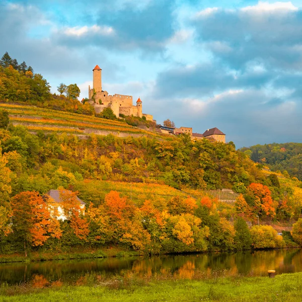 Winery Burg Hornberg Neckar — Stock Photo, Image