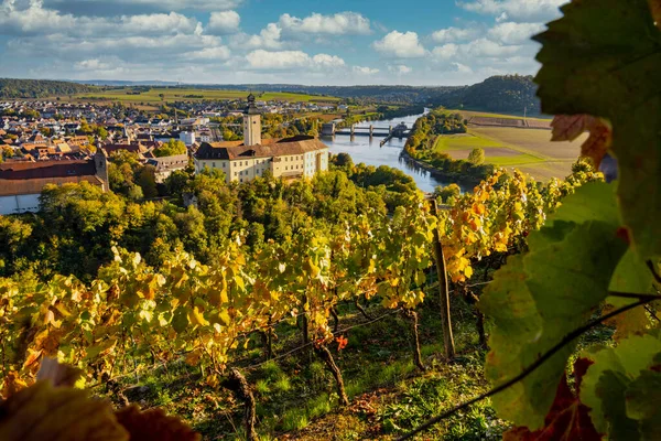 下Neckar山谷的葡萄酒经验 免版税图库照片