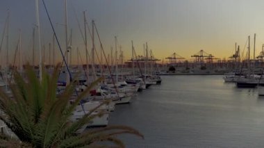 Kışın İspanya 'nın Valencia limanında yelkenli yatlar demirlenir. Hafif bir meltem gün batımında küçük bir dalga yakar. Mavi gökyüzüne karşı direkler