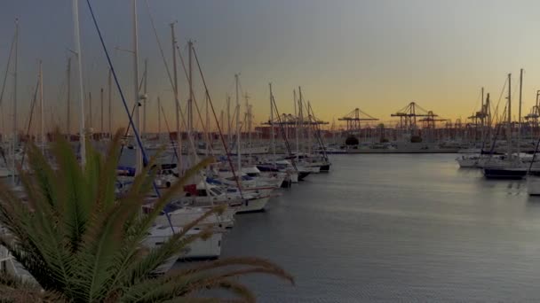 Χειμώνα Ιστιοπλοϊκά Σκάφη Αγκυροβολούν Στο Λιμάνι Της Βαλένθια Στην Ισπανία — Αρχείο Βίντεο