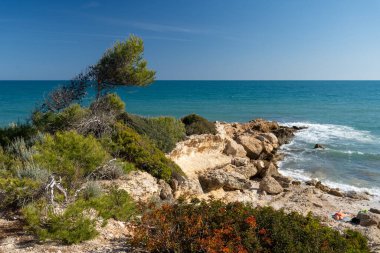 Güçlü bir rüzgarla İspanya denizindeki kayalar. Beyaz su sıçratan dalgalar kıyıya çarpıyor. güneşli bahar günü