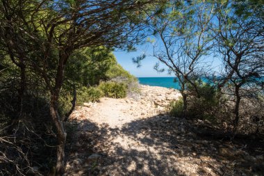 Baharda İspanya 'da deniz kıyısında rüzgar. Güneşli bir günde evin yakınındaki kayalıklarda palmiye ağaçları. Sahil boyunca aktif dinlenme yolu.