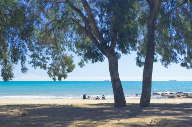 Aile sahildeki bir ağacın gölgesinde dinleniyor. İspanya 'da güneşli bir bahar gününde odak dışı
