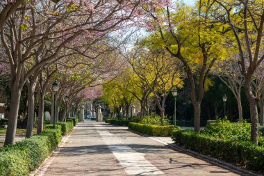 Parc Ribalta gölüyle parkta bahar. Baharda güneşli bir günde İspanya 'da bir parkta yürümek. Castellon