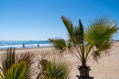 Baharda İspanya 'da kumlu bir plajda iki sandalye. Yüksek kalite fotoğraf