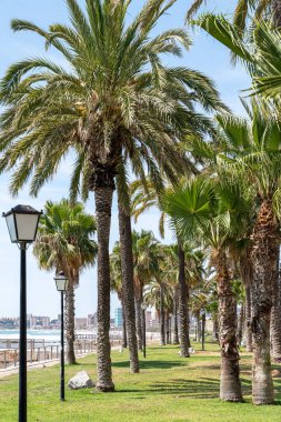 Gezinti güvertesinde fener bulunan minimalist kompozisyon. İspanya 'da güneşli, sıcak bir gün..