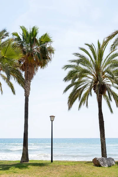 Minimalist Composition Lantern Promenade Sunny Warm Day Resort Spain — Stock Photo, Image