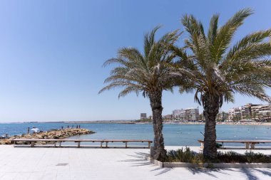 Baharda İspanya 'da kumlu bir plajda iki sandalye. Yüksek kalite fotoğraf