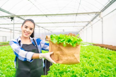 Mutlu gülümseyen Asyalı kadın çiftçi sepet dolusu taze yeşil sebze salatasını serada sunar.