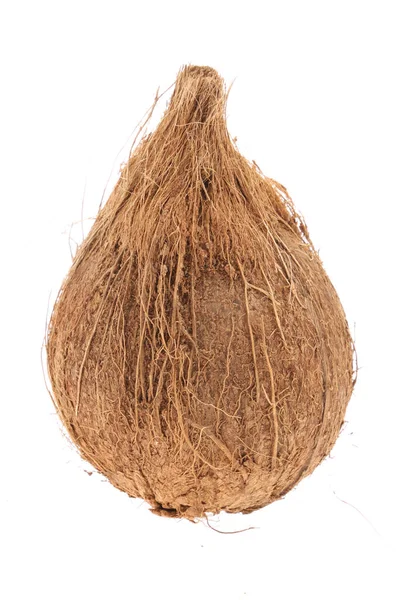 Kokosnoot Kokosnoot Geïsoleerd Witte Achtergrond Volledige Velddiepte — Stockfoto