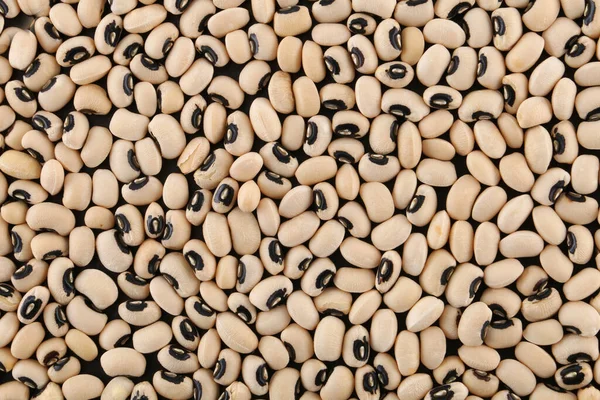 Tekstur Latar Belakang Kacang Kacangan Atau Kacang Kacangan Kering — Stok Foto