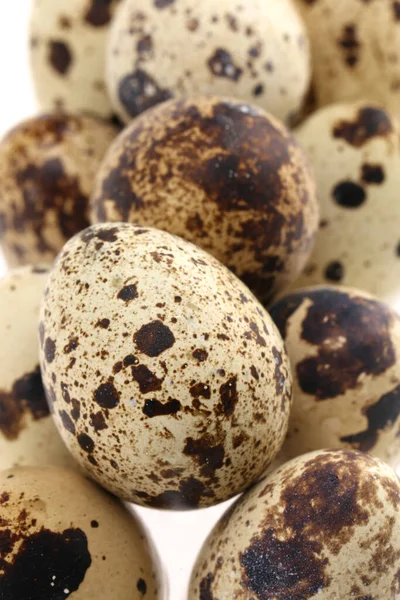 Bıldırcın Yumurtaları Beyaz Arka Planda Izole Edilir — Stok fotoğraf