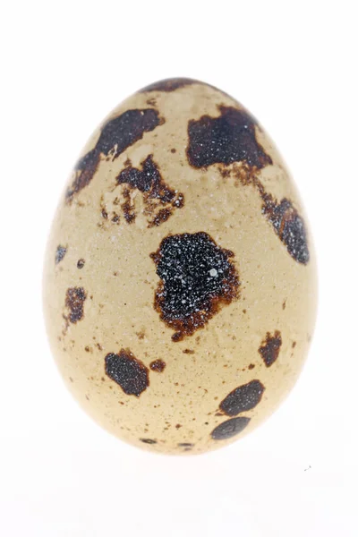 Bıldırcın Yumurtası Beyaz Arka Planda Izole Edilir — Stok fotoğraf