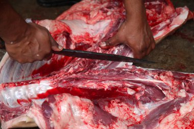 Kasap mezbahada bıçakla çiğ et kesiyor.