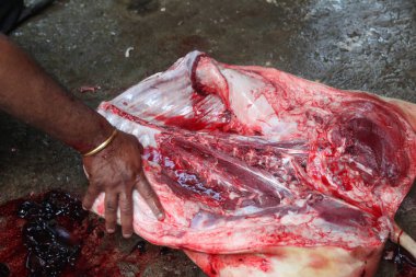 Kasap mezbahada bıçakla çiğ et kesiyor.